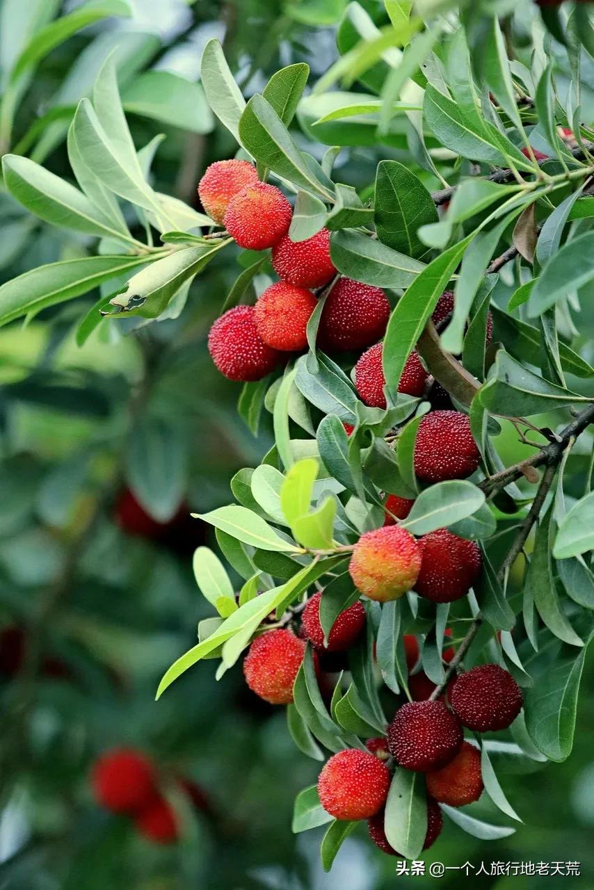 这座被央视挖掘的江南小城，比乌镇古朴，比苏杭好吃