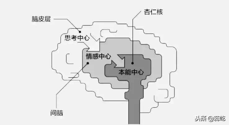 女人做销售比男人有什么优势,男人做销售的成功率