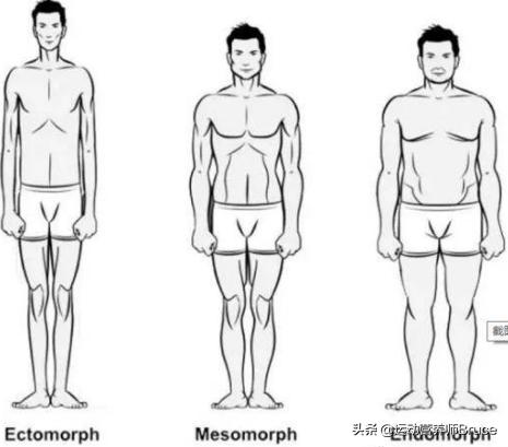 中国现在的审美真的是以瘦为美吗,为什么中国的审美就是瘦