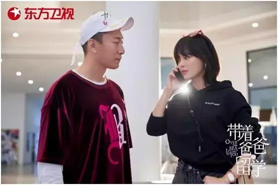 辛芷蕾新剧破案,辛芷蕾的新剧