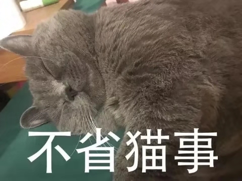 十大网红猫瓜皮,网红猫瓜皮现在如何
