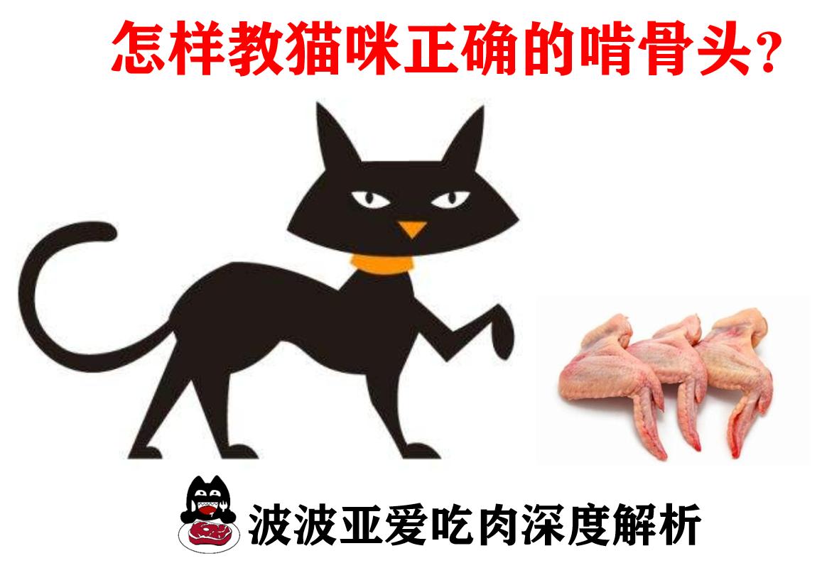 猫咪为什么不能吃骨头,猫为什么要让猫咪吃骨头