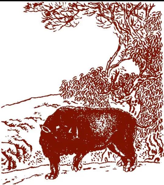 山海经中关于长白山的记载,祷过山