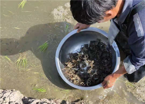 唐山芦台经济开发区视频,芦台贸易开发区金翠园