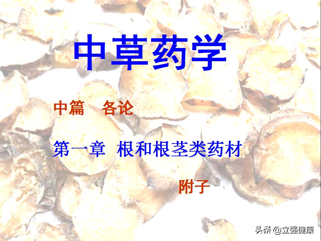 如何鉴别附子?看看药师怎样为您论述