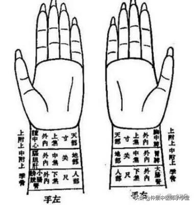 中医讲迟脉,中医脉诊迟脉是代表什么