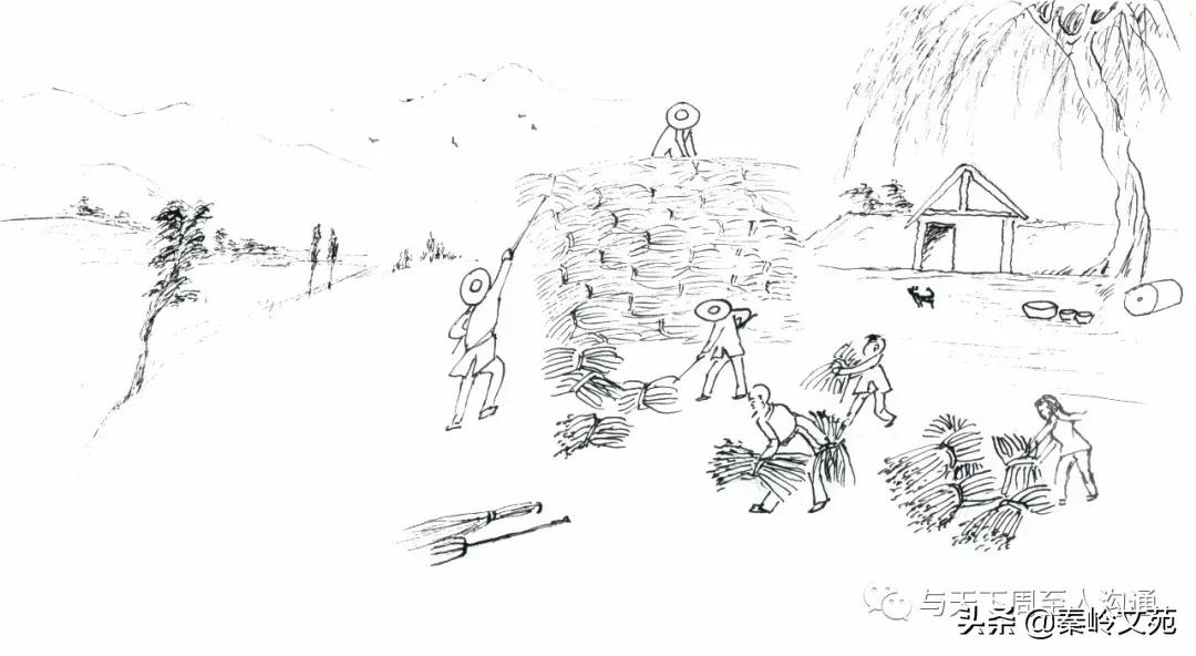 赵科第:乡村记事——收麦那些事儿