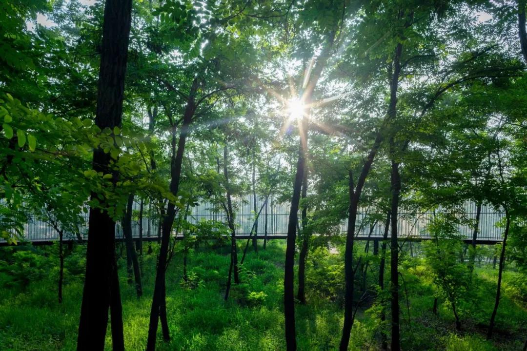 阿那亚北岸设计动图,阿那亚北岸设计