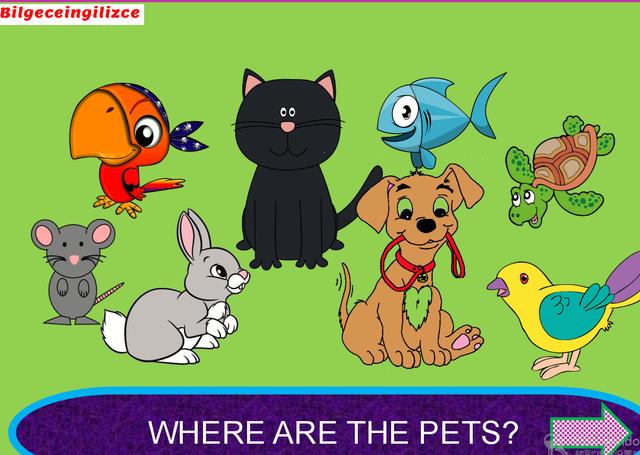 超级好的英语语法课,语法ppt课件免费下载