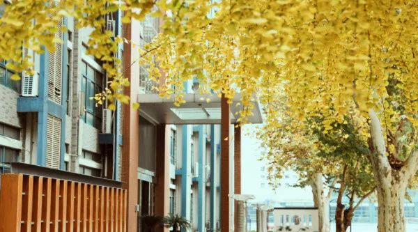 郑州最好的高中排名,排名前10的郑州民办高中