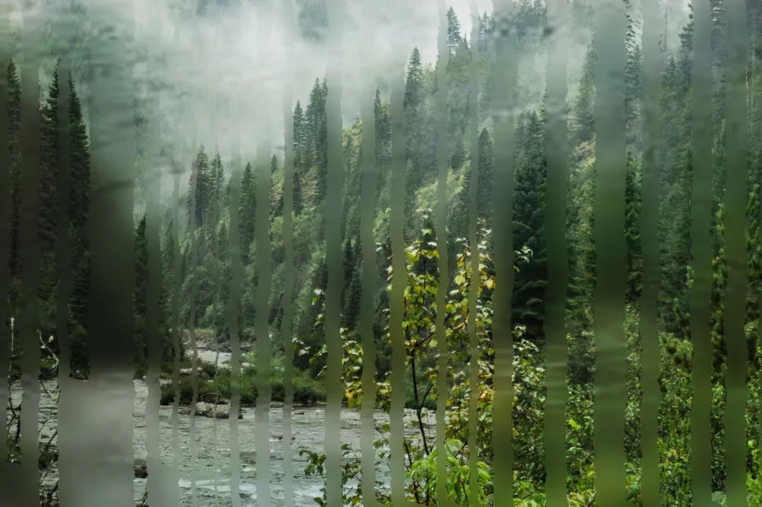 拍摄相机镜头起雾,冬天出去拍照怎么防止镜头起雾