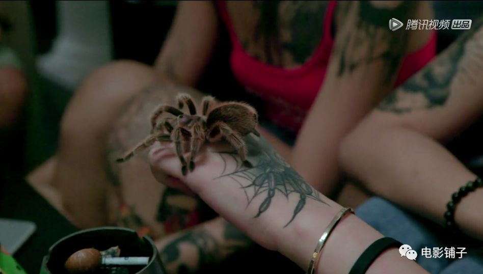 如此「变态」的欲望，这届有钱人真猛