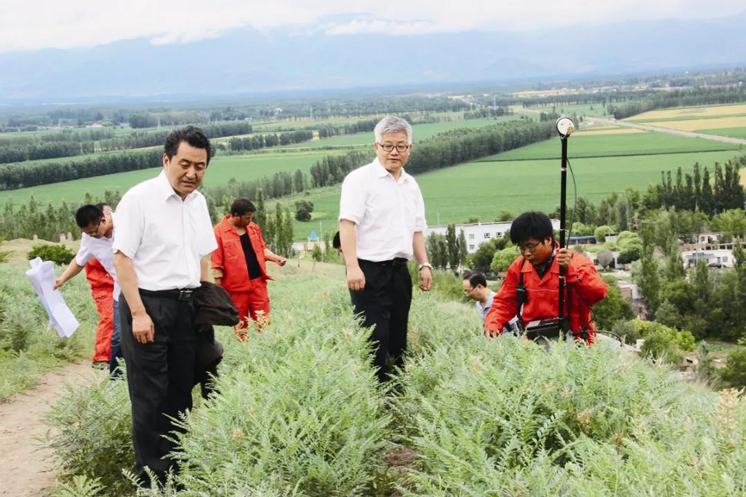 投票活动第一名是谁,投票前五名有谁