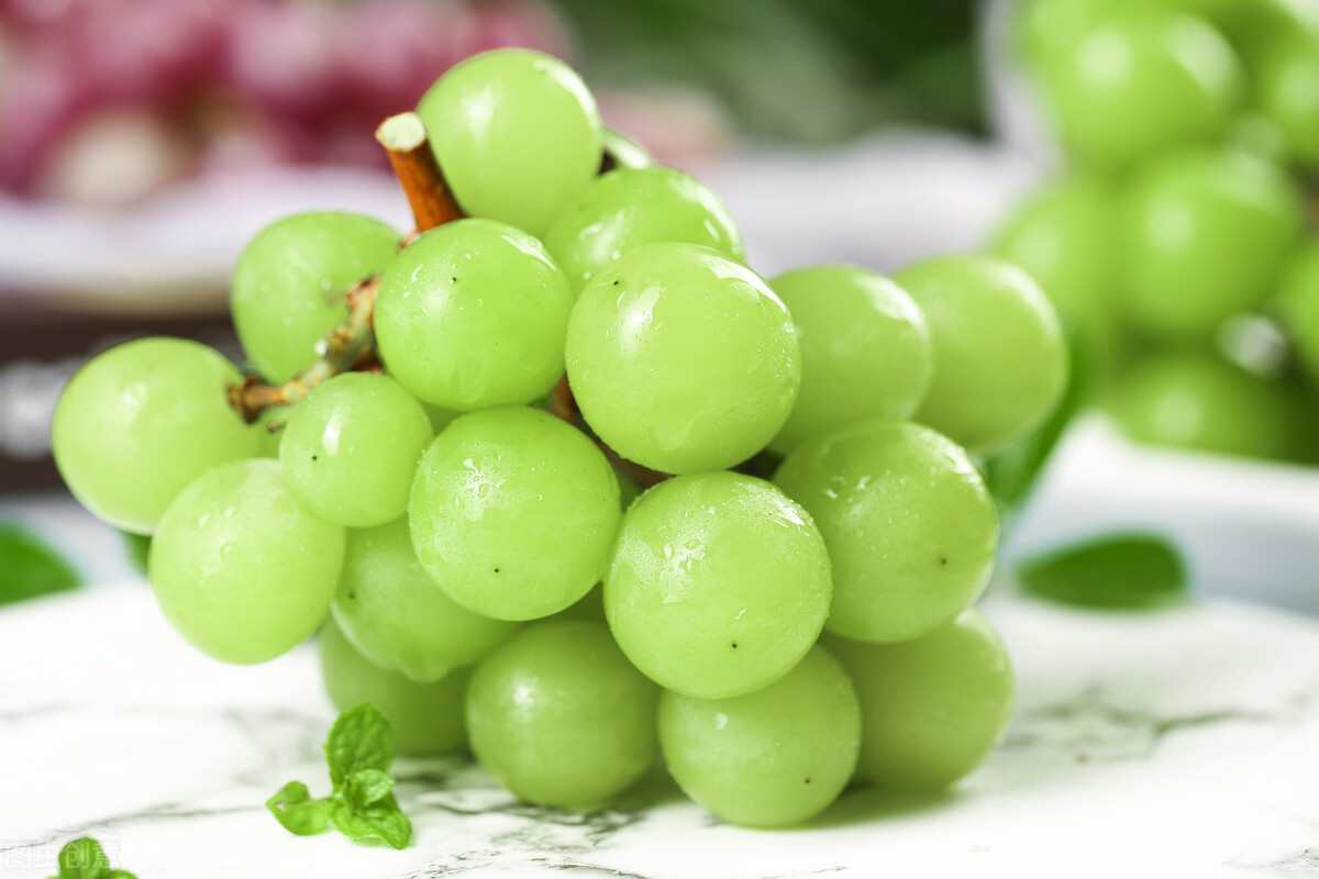 从奇异果到阳光玫瑰，这些来自国外的好吃水果，背后是种子战争