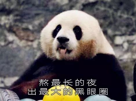 眼部护理的正确步骤和方法,眼部护理真的太重要了