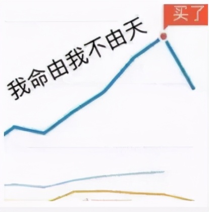 年轻人买基金的后果,当代年轻人买基金现状