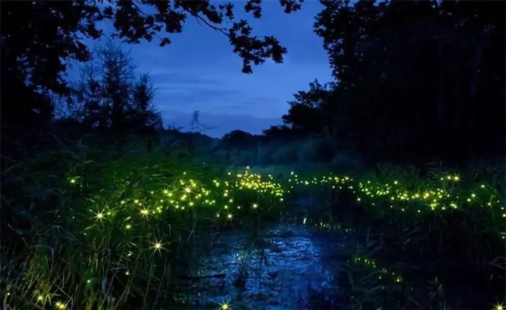 杭州沙巴旅游攻略,文莱沙巴旅游购物攻略