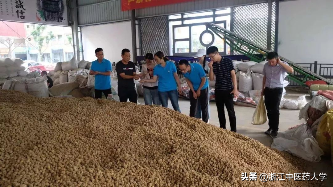 高校三下乡社会实践优秀个人材料,三下乡社会实践活动荣获奖项