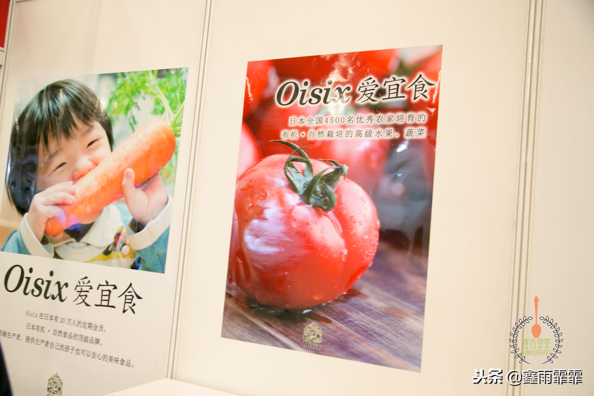 5万斤胡萝卜卖不出去,一斤胡萝卜能卖多少钱