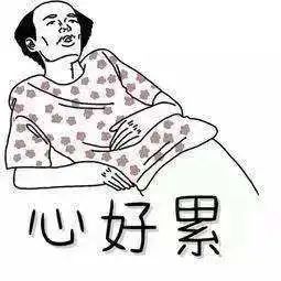 双语类可以报的学校有哪些,民办双语学校招生