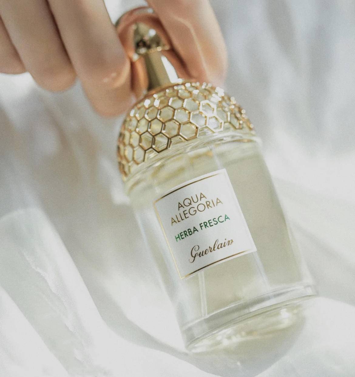 夏季高温清凉,高温天气穿什么凉快