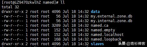 搭建dns域名服务器有哪些,如何搭建自己的dns