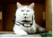 独家调查丨水很深？肇庆手机维修内幕曝光，修手机要注意…