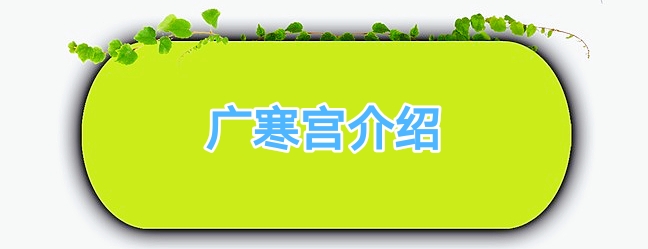 多肉广寒宫阳台,多肉广寒宫的养护知识