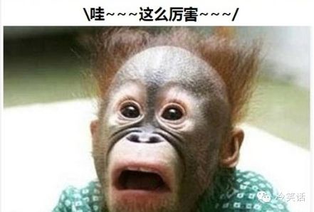 2017年度最奇葩新闻50条