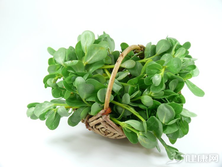马齿苋被称为长寿菜,越吃越长寿的三种菜马齿苋