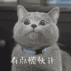 花露水可以驱猫猫身上的跳蚤吗,用什么给猫猫洗澡可以去掉跳蚤