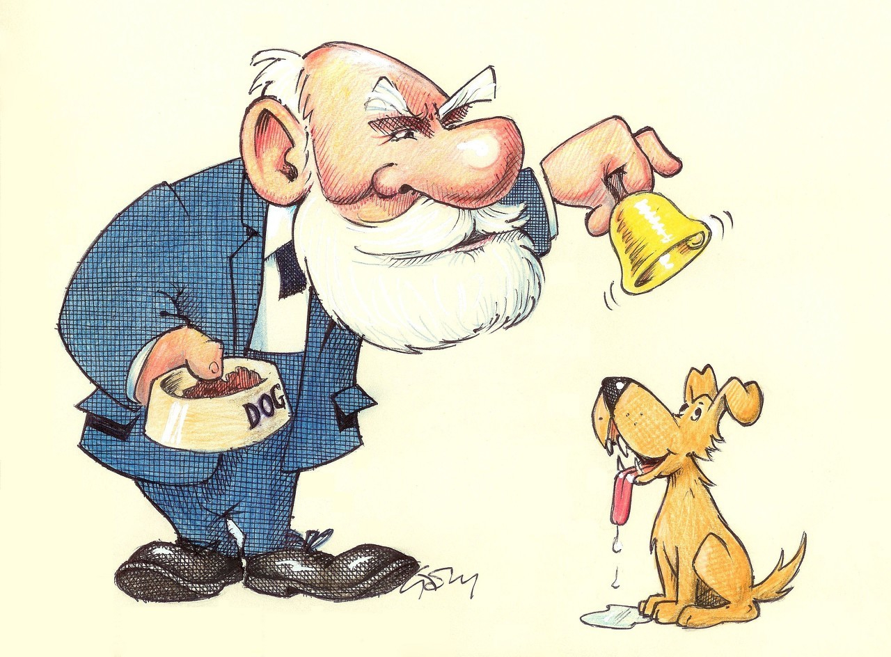 观察力好的孩子着重哪方面的培养,观察力强的孩子怎么培养