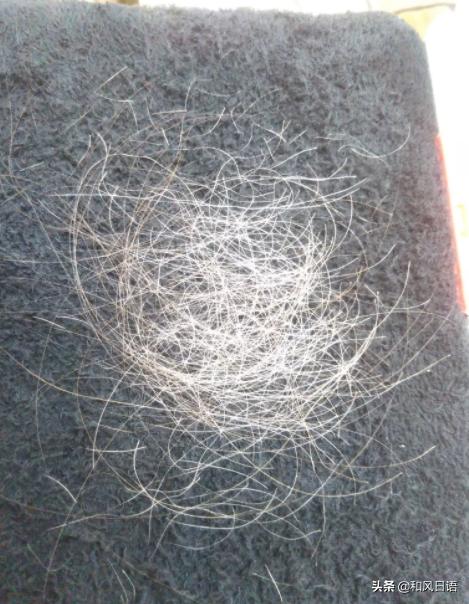 日本拔白头发的店,日本拔白头发神器正品货