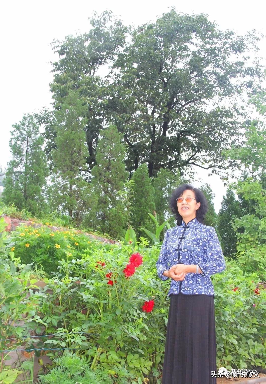 苍岩山公主传说,苍岩山传说