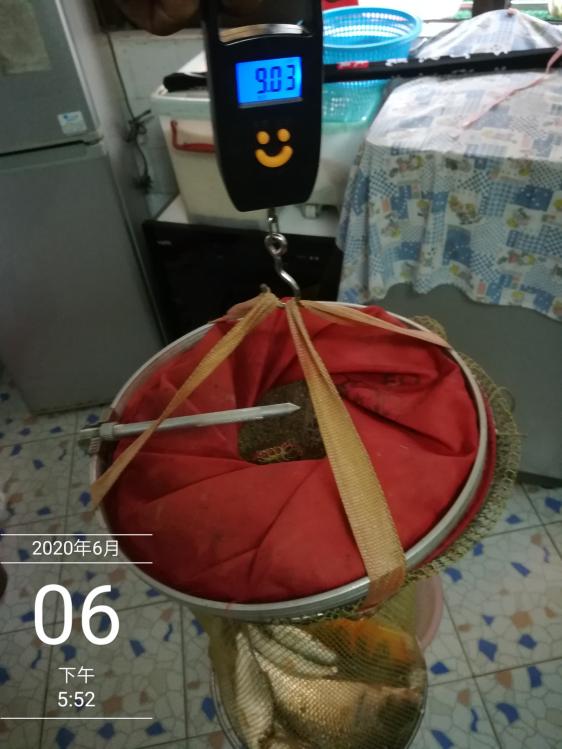 本汀太极黑棍7.2,本汀太极黑棍测试