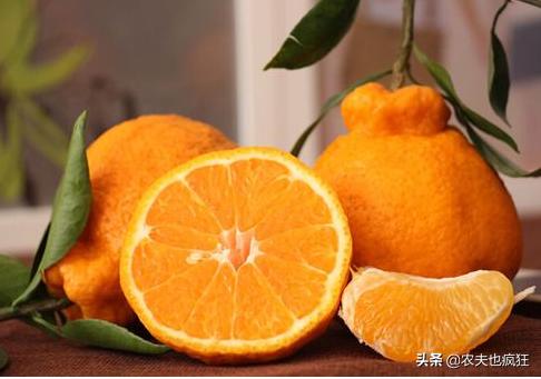 2019丑八怪水果一斤价格,目前最火的网红水果