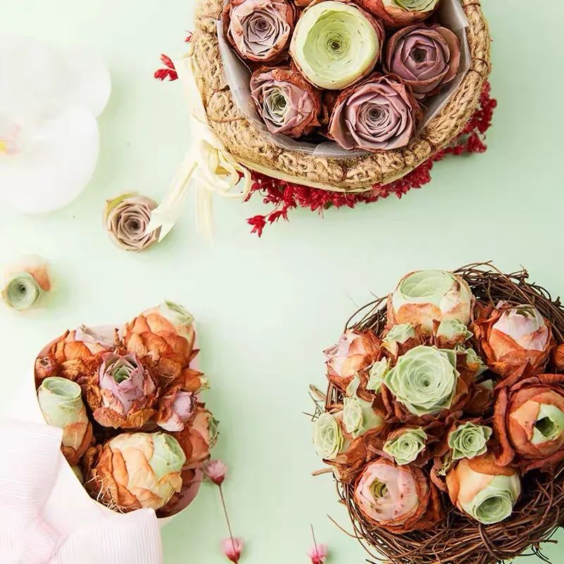 什么品种玫瑰花最好养,永不凋谢的绿玫瑰图片