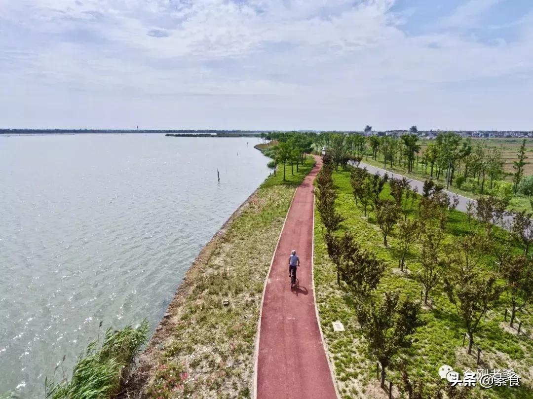 66岁的台湾老爹如何独居苏州过上神仙般的生活