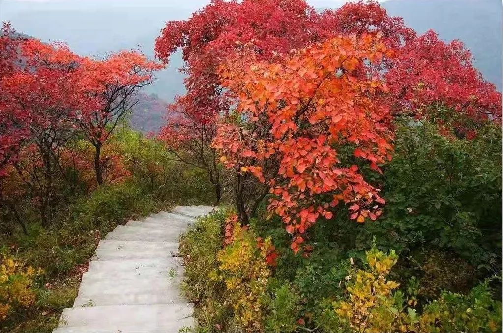 山东百强县2021年排名,山东2021百强县排名榜