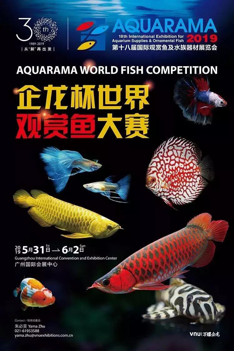 端午节好耍的亲子地方,端午节去哪儿玩适合儿童