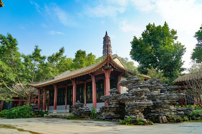 广东顺德美食旅游攻略学生,顺德自驾这份美食攻略要收好