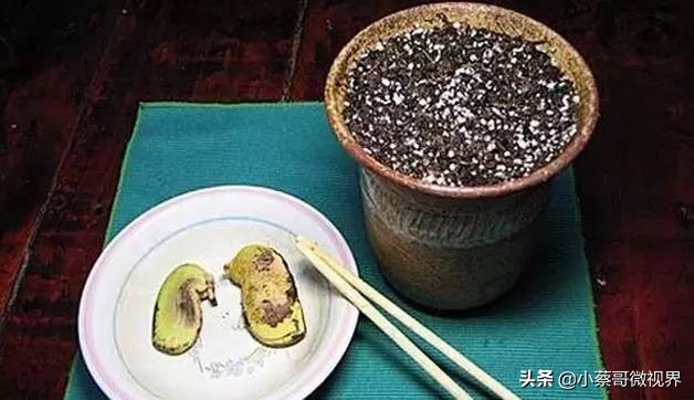 吃完的水果种子不要丢,吃完水果果核别扔