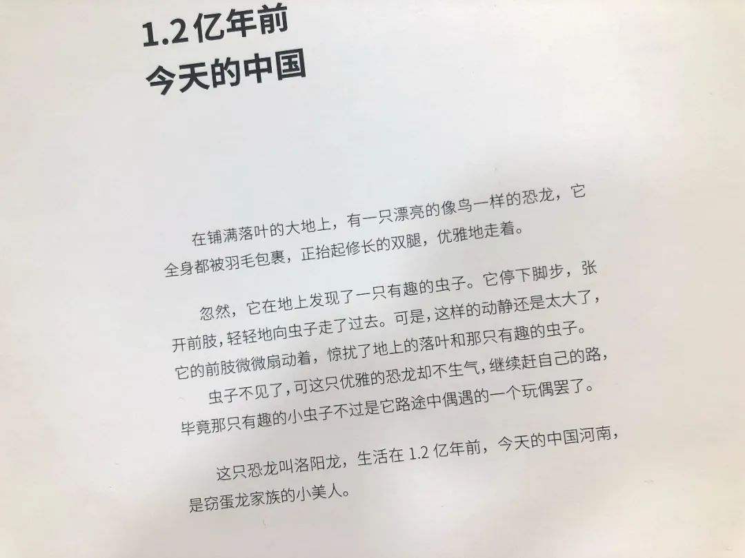 适合孩子看的恐龙科普书,适合5岁孩子看的恐龙科普书