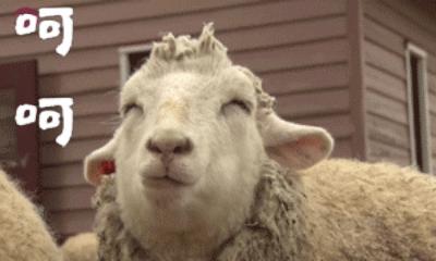 那些年我们看过的智商税广告,那些年我们一起交过的护肤智商税