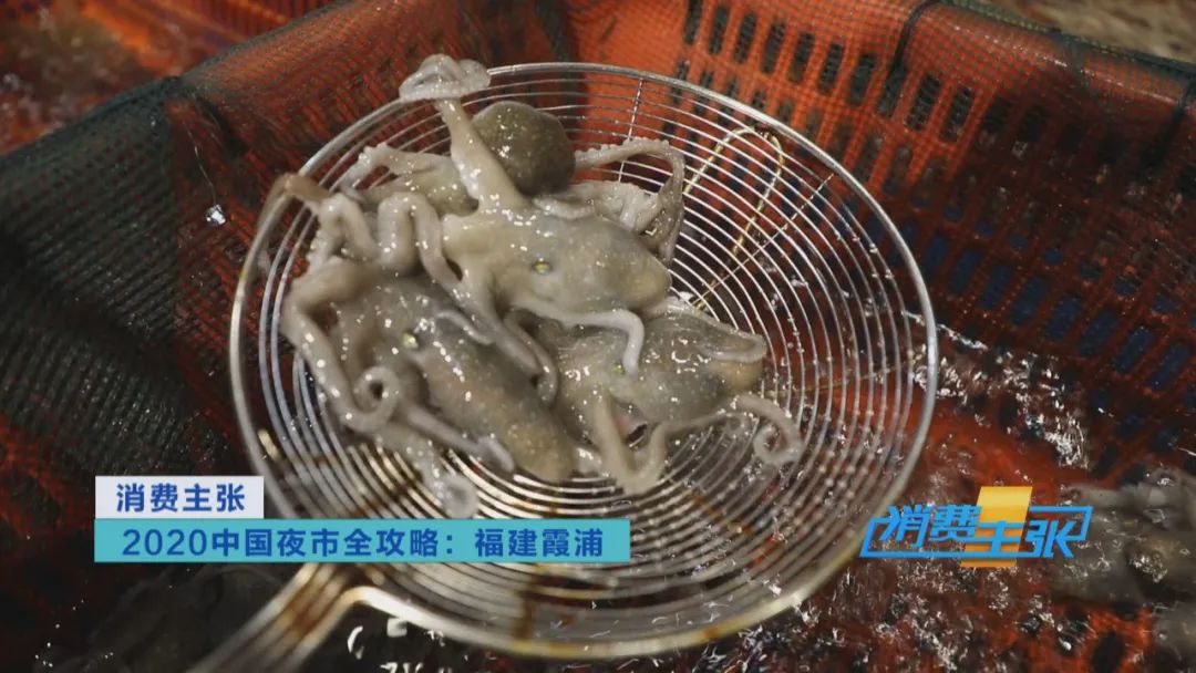 霞浦小众海鲜,霞浦吃海鲜地方推荐