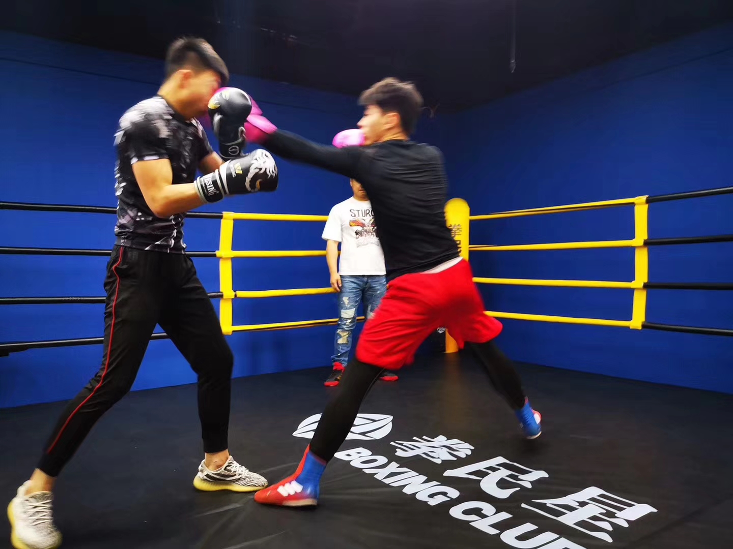 中国顶级拳击俱乐部落户大连！拳民星国际俱乐部华丽启航