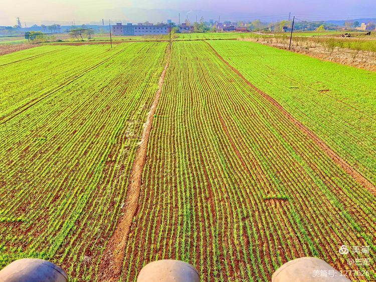 洛阳市宜阳凤凰岭射箭,宜阳县凤凰岭体育基地