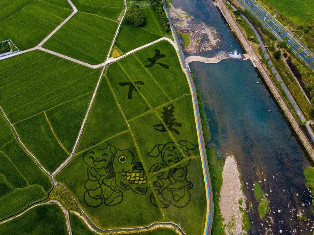 钱塘江画卷,钱塘江画作