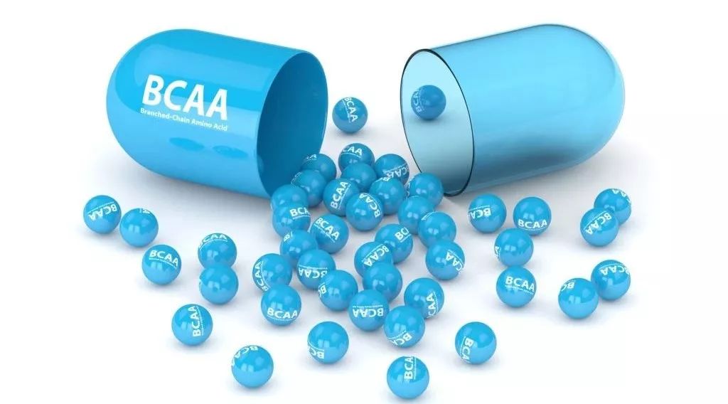 索队聊补剂:BCAA真的是鸡肋吗?去伪求真一篇说透