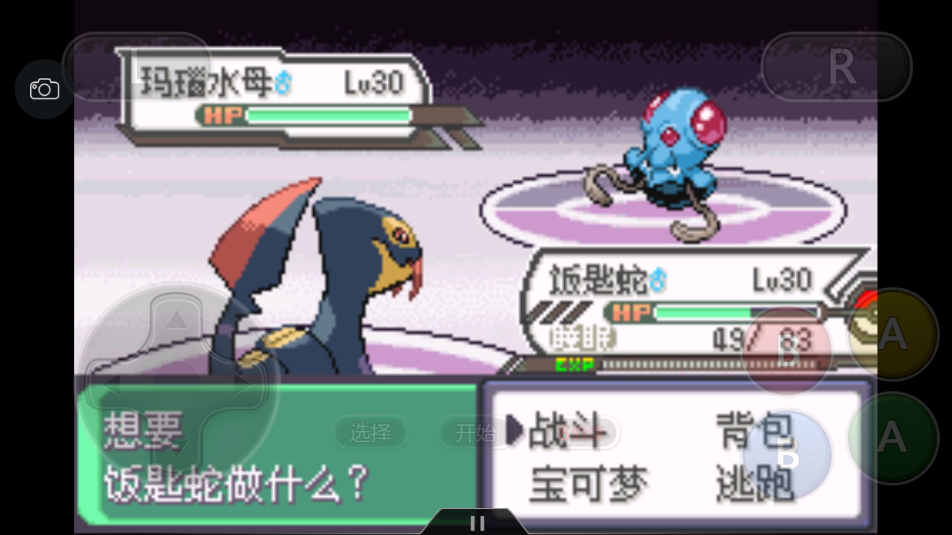 究极绿宝石5一周目攻略,究极绿宝石一周目神兽攻略